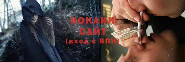 дживик Зерноград