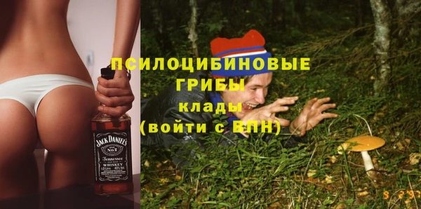 прущие крисы Зеленокумск