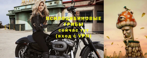 дживик Зерноград