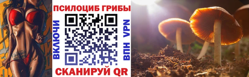 Псилоцибиновые грибы Magic Shrooms  Купить где  Рыбное 